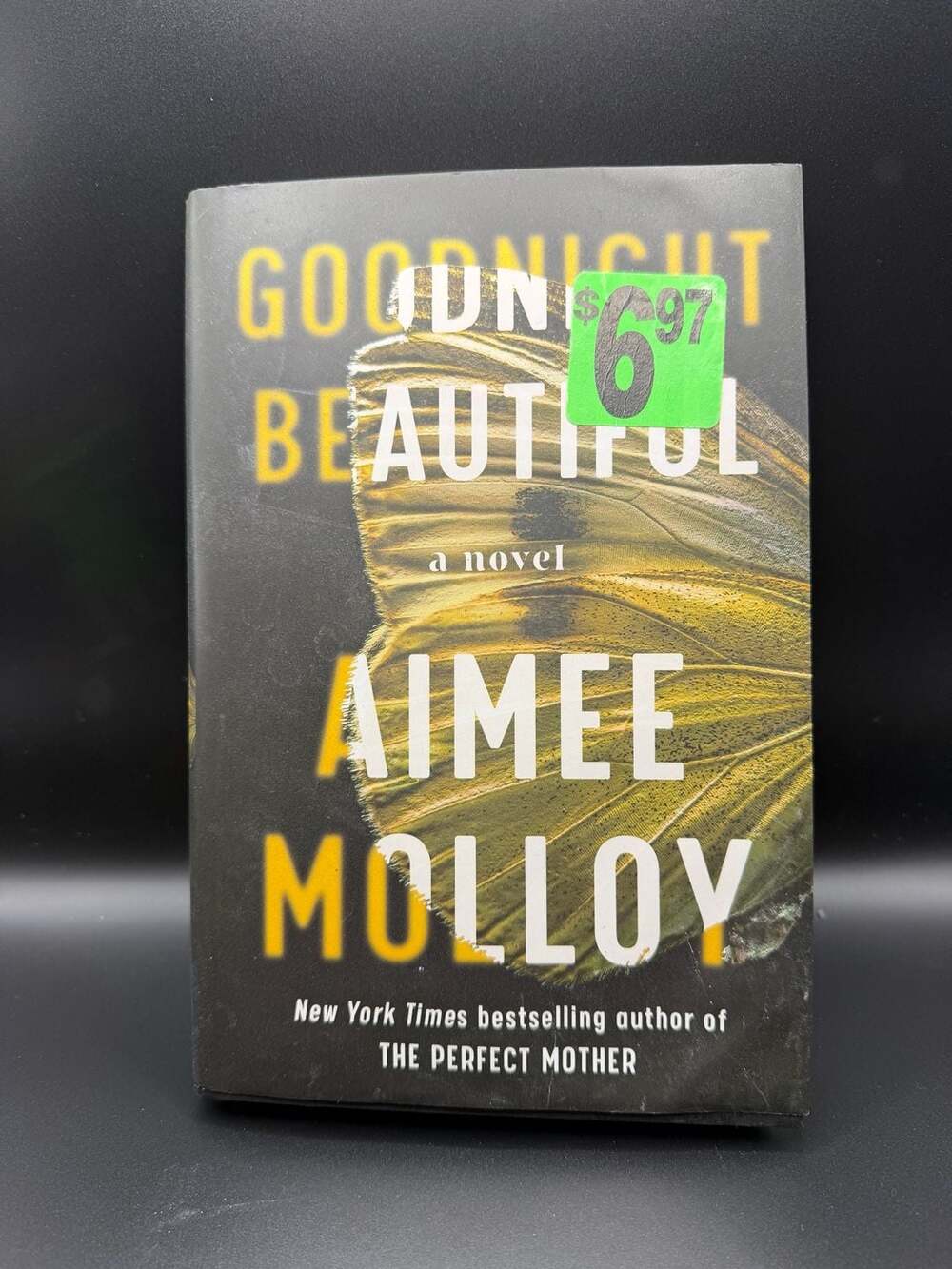 Goodnight Beautiful: A Novel by Aimee Molloy Hardcover